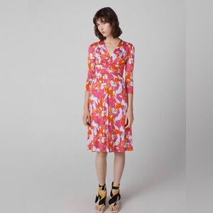 Diane von Furstenberg (DVF) Jerome Dress, Size L, NWT